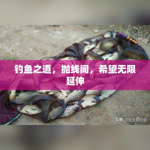 釣魚之道，拋線間，希望無限延伸