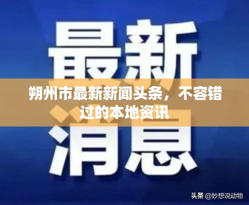 朔州市最新新聞頭條，不容錯過的本地資訊