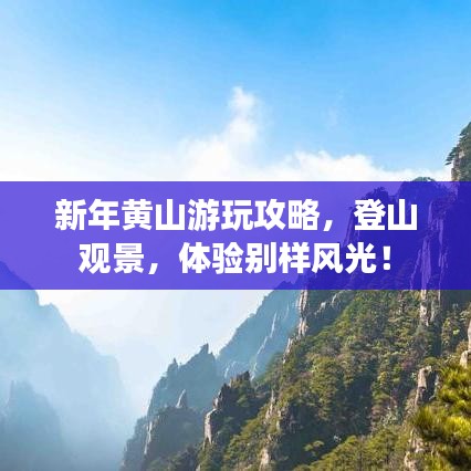 新年黃山游玩攻略，登山觀景，體驗別樣風光！