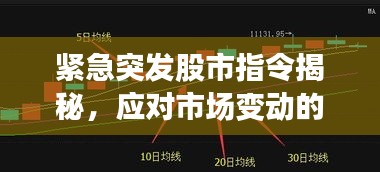 緊急突發(fā)股市指令揭秘，應(yīng)對市場變動的關(guān)鍵策略指南