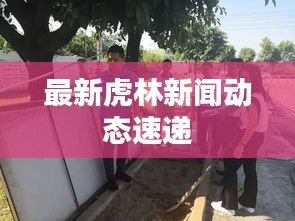 最新虎林新聞動(dòng)態(tài)速遞