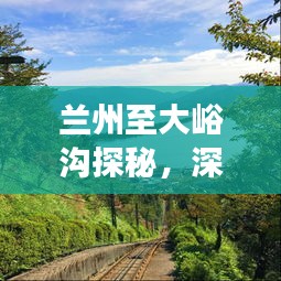 蘭州至大峪溝探秘，深度旅游攻略，暢游自然美景！