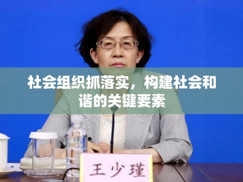 社會(huì)組織抓落實(shí)，構(gòu)建社會(huì)和諧的關(guān)鍵要素