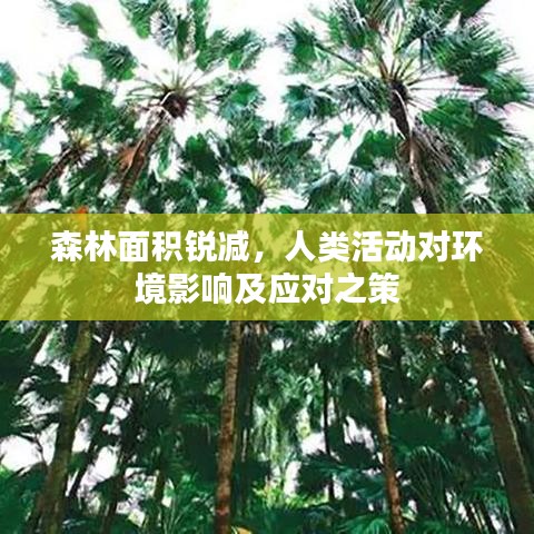 森林面積銳減，人類活動(dòng)對(duì)環(huán)境影響及應(yīng)對(duì)之策