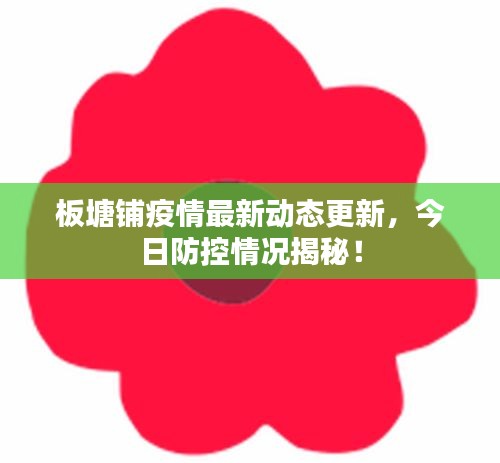 板塘鋪疫情最新動態(tài)更新，今日防控情況揭秘！