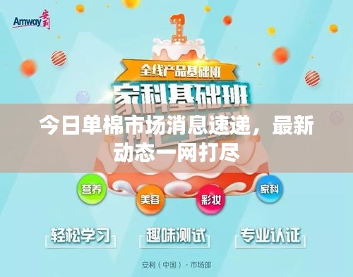 今日單棉市場消息速遞，最新動(dòng)態(tài)一網(wǎng)打盡