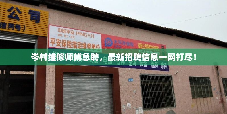 岑村維修師傅急聘，最新招聘信息一網(wǎng)打盡！