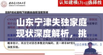 山東寧津失獨(dú)家庭現(xiàn)狀深度解析，挑戰(zhàn)與對(duì)策
