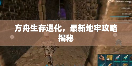 方舟生存進化，最新地牢攻略揭秘
