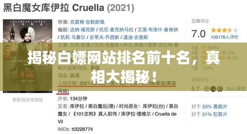 揭秘白嫖網(wǎng)站排名前十名，真相大揭秘！