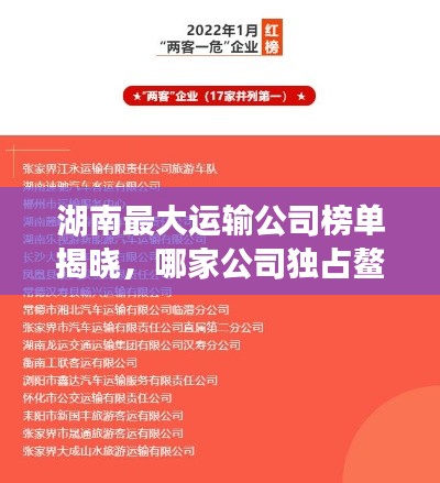 湖南最大運輸公司榜單揭曉，哪家公司獨占鰲頭？