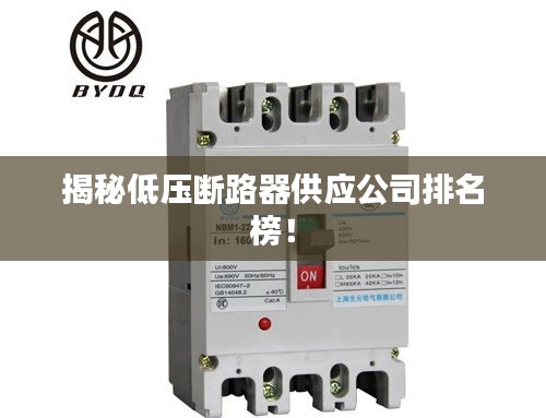 揭秘低壓斷路器供應(yīng)公司排名榜！
