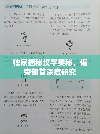 獨(dú)家揭秘漢字奧秘，偏旁部首深度研究