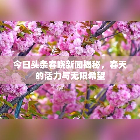 今日頭條春曉新聞揭秘，春天的活力與無(wú)限希望