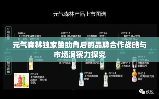 元?dú)馍知?dú)家贊助背后的品牌合作戰(zhàn)略與市場(chǎng)洞察力探究