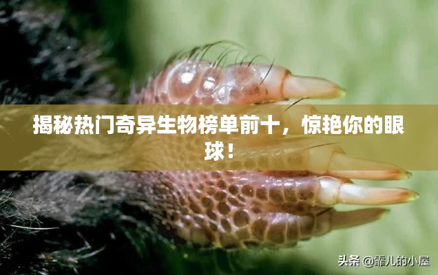 揭秘?zé)衢T奇異生物榜單前十，驚艷你的眼球！