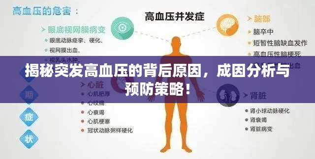 揭秘突發(fā)高血壓的背后原因，成因分析與預(yù)防策略！