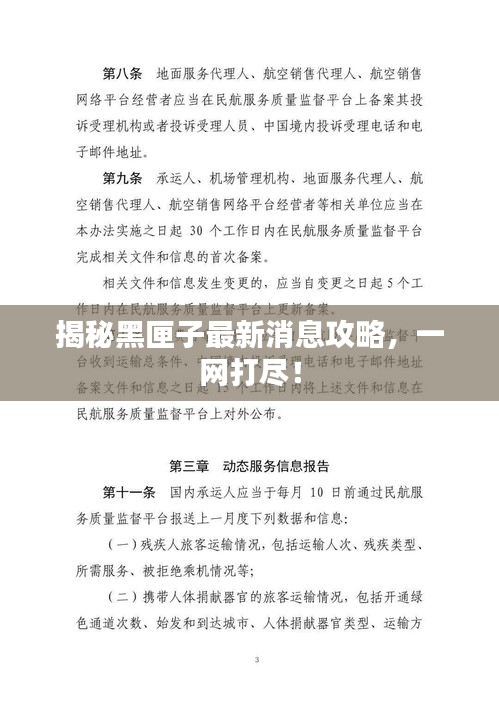 揭秘黑匣子最新消息攻略，一網(wǎng)打盡！