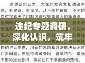 違紀(jì)專題調(diào)研，深化認(rèn)識(shí)，筑牢防線，守護(hù)制度紅線