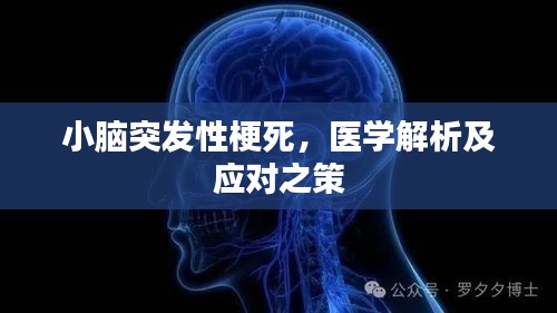 小腦突發(fā)性梗死，醫(yī)學解析及應對之策