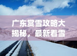 廣東賞雪攻略大揭秘，最新看雪好去處