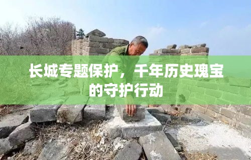 長(zhǎng)城專題保護(hù)，千年歷史瑰寶的守護(hù)行動(dòng)