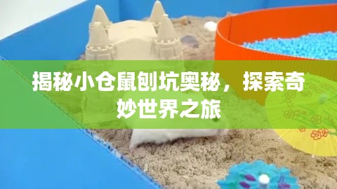 揭秘小倉鼠刨坑奧秘，探索奇妙世界之旅