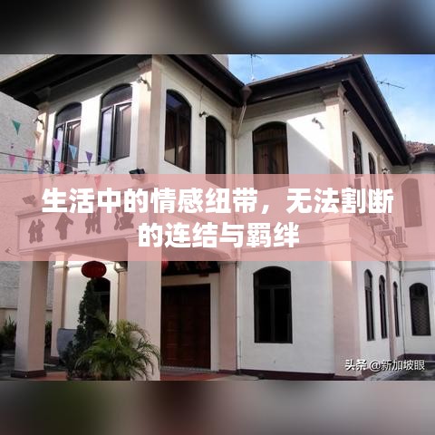 生活中的情感紐帶，無(wú)法割斷的連結(jié)與羈絆