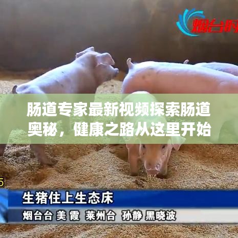 腸道專家最新視頻探索腸道奧秘，健康之路從這里開始