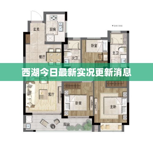 西湖今日最新實況更新消息