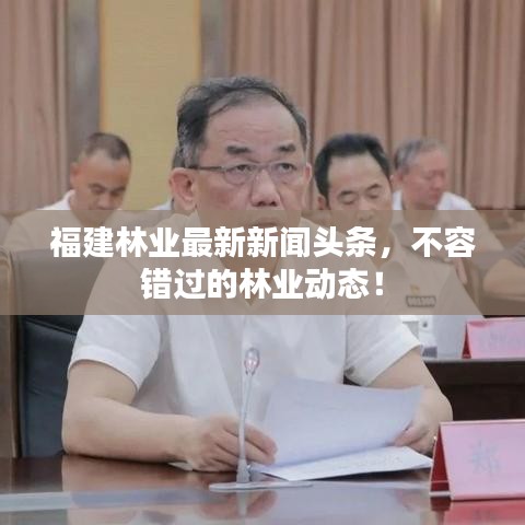 福建林業(yè)最新新聞頭條，不容錯過的林業(yè)動態(tài)！