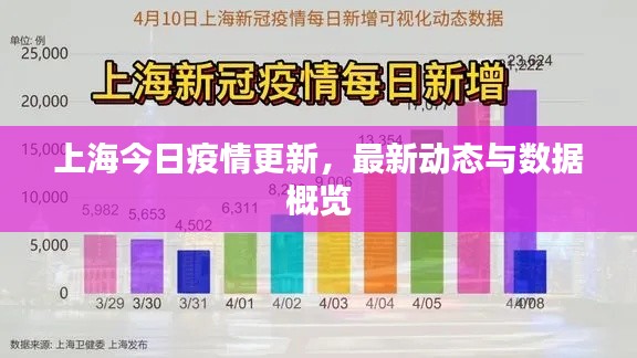 上海今日疫情更新，最新動態(tài)與數(shù)據(jù)概覽
