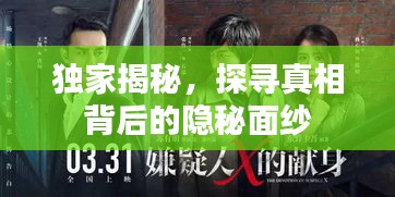 獨(dú)家揭秘，探尋真相背后的隱秘面紗