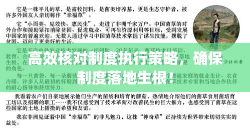 高效核對(duì)制度執(zhí)行策略，確保制度落地生根！