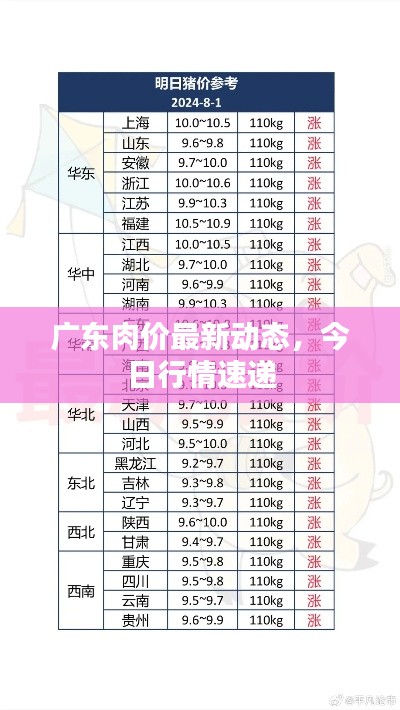 廣東肉價(jià)最新動(dòng)態(tài)，今日行情速遞