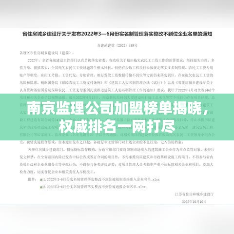 南京監(jiān)理公司加盟榜單揭曉，權(quán)威排名一網(wǎng)打盡