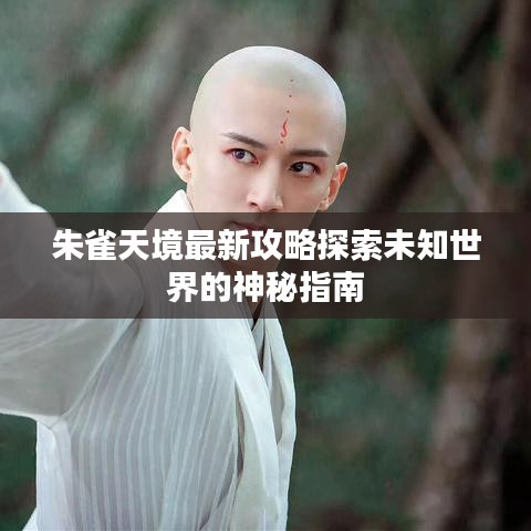 朱雀天境最新攻略探索未知世界的神秘指南