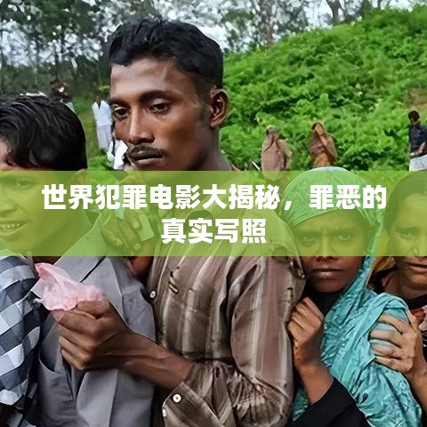 世界犯罪電影大揭秘，罪惡的真實(shí)寫照