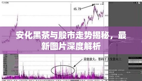 安化黑茶與股市走勢揭秘，最新圖片深度解析