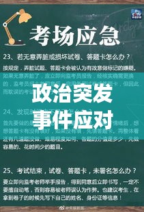 政治突發(fā)事件應對之道，危機處理與策略解析