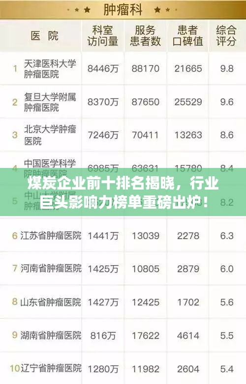 煤炭企業(yè)前十排名揭曉，行業(yè)巨頭影響力榜單重磅出爐！