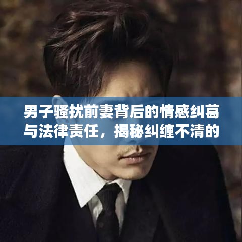 男子騷擾前妻背后的情感糾葛與法律責(zé)任，揭秘糾纏不清的法律紅線