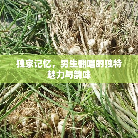 獨(dú)家記憶，男生翻唱的獨(dú)特魅力與韻味