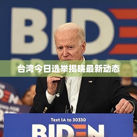 臺灣今日選舉揭曉最新動態(tài)