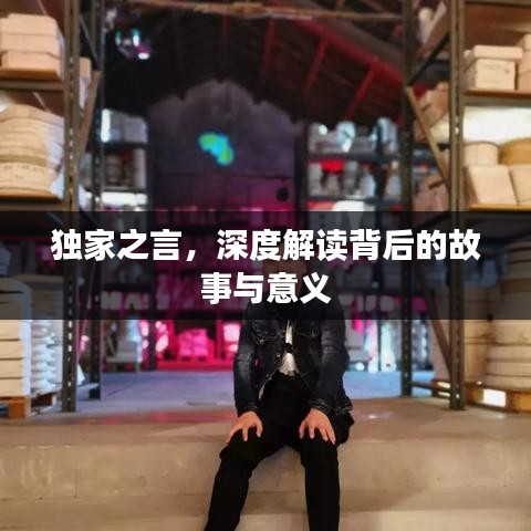 獨(dú)家之言，深度解讀背后的故事與意義