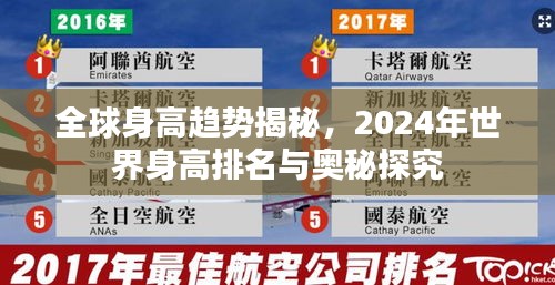 全球身高趨勢揭秘，2024年世界身高排名與奧秘探究