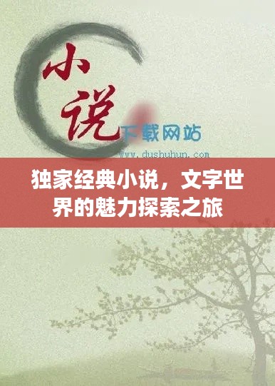 獨(dú)家經(jīng)典小說，文字世界的魅力探索之旅