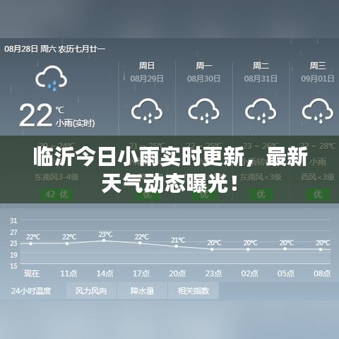 臨沂今日小雨實(shí)時(shí)更新，最新天氣動(dòng)態(tài)曝光！