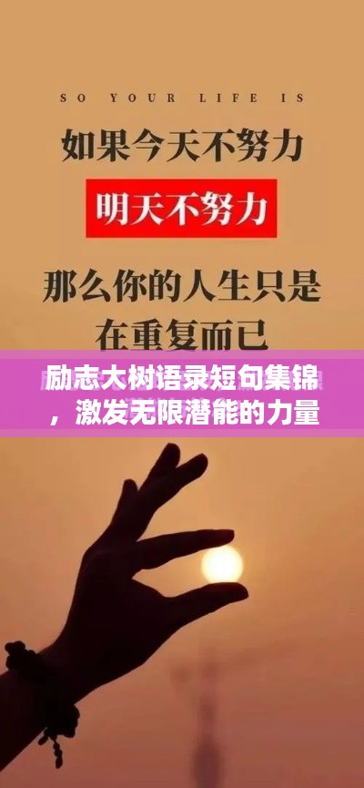 勵志大樹語錄短句集錦，激發(fā)無限潛能的力量之語