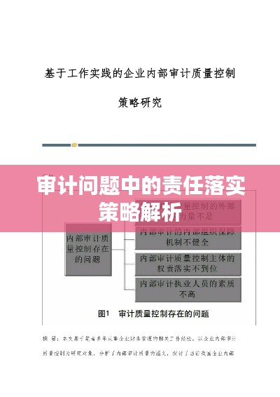 審計(jì)問題中的責(zé)任落實(shí)策略解析